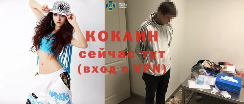 Cocaine FishScale  мега ссылка  Новодвинск  как найти  