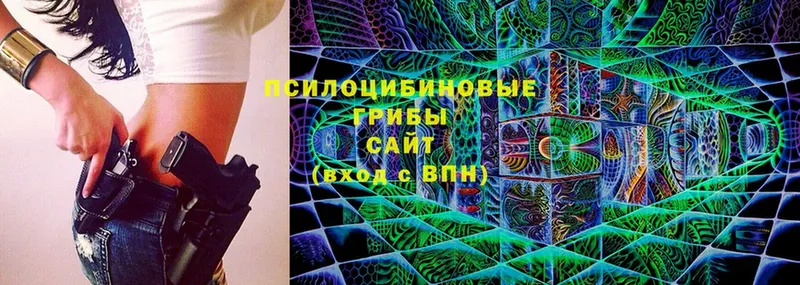 хочу наркоту  Новодвинск  Галлюциногенные грибы Cubensis 